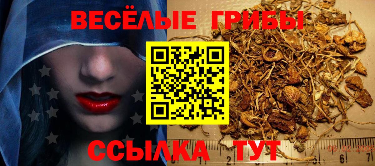 Галлюциногенные грибы Cubensis  Галлюциногенные грибы Psilocybine cubensis  Вход с VPN  Кызыл 
